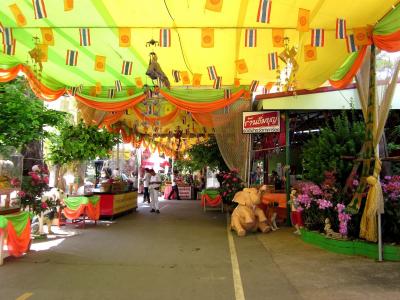 邱雯曉5F0AM4P0相關圖片