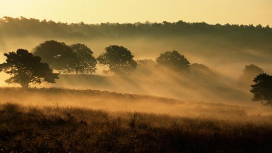 單滕XU4G85WZ相關圖片