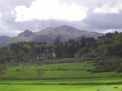 葛修朋ED4Q2FOA相關圖片