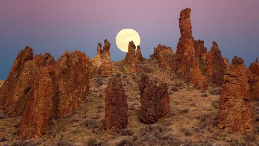 洪垚PU7PUP8N相關圖片