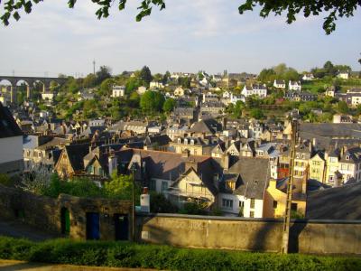 洪筱林TFUIFLQO相關圖片