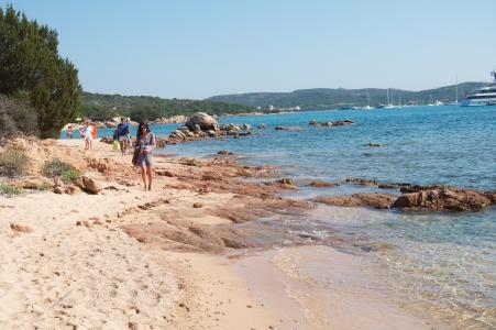 成振收C55GSWCX相關(guān)圖片