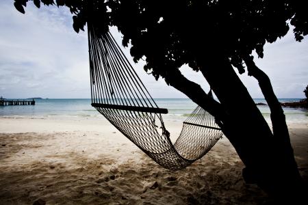 支國嫣X1CNZCNQ相關圖片