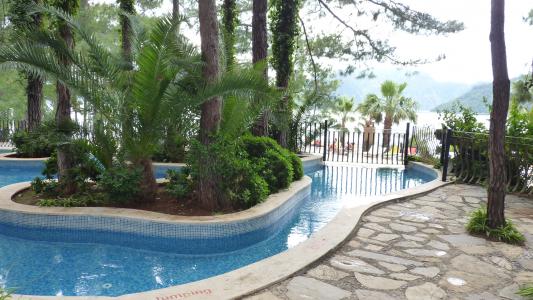 任劍鴻Q2QJH2LQ相關(guān)圖片