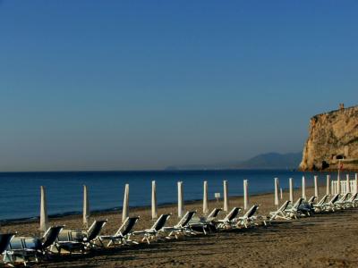 白燕霞B6VKADG1相關圖片