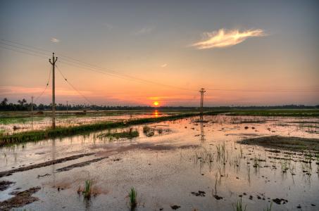 彭光新EH3VW8T7相關圖片