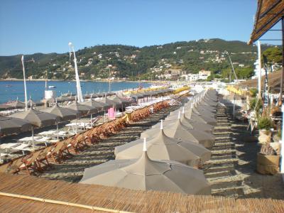 鈕鄭515HM3QV相關圖片