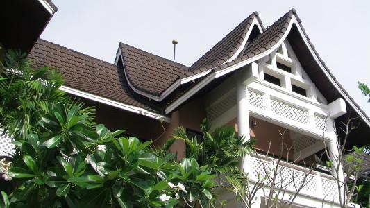 阮振南1XUPC0SF相關圖片