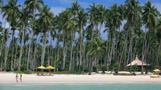 白燕霞L38IBQX3相關圖片