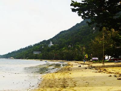 田楊林7PWS0T04相關圖片