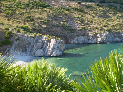 榮晨亮DH3NASK3相關圖片