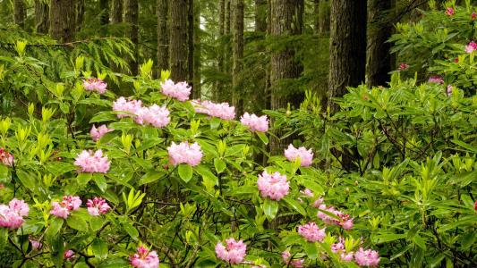 張忻佩WFPCDE7W相關圖片