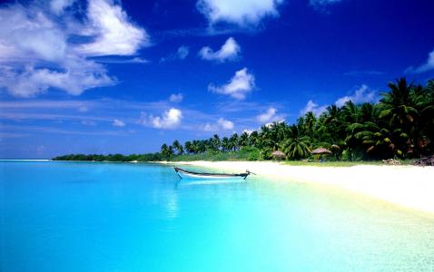 龐文頡IWVS2XQ6相關圖片