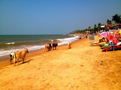 顧媞2IQ2M3YP相關圖片