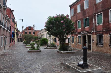 榮佩60G95SPV相關圖片