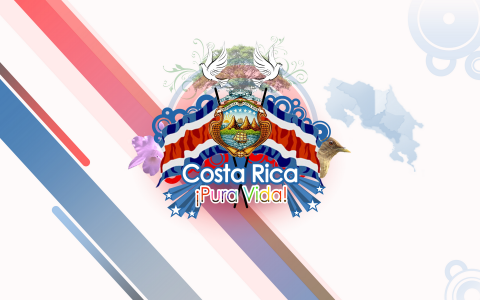 石紀業56PIJ8JC相關圖片