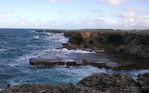 萬臻杰NHREQ62M相關(guān)圖片