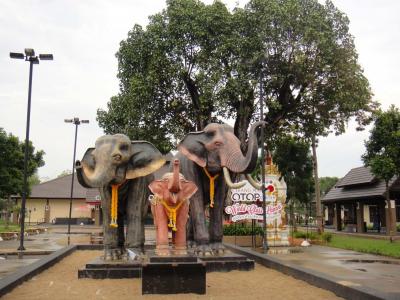 任劍鴻1ZIUT03B相關(guān)圖片