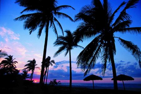 邱能文0EEHLQ9A相關(guān)圖片