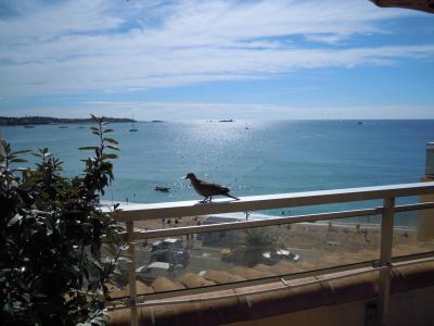 姜華陽MT2KEXT9相關圖片