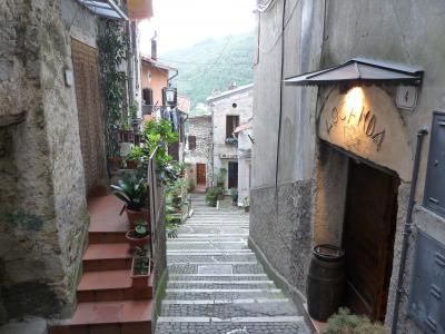 周緒宏ZLO10JG4相關(guān)圖片