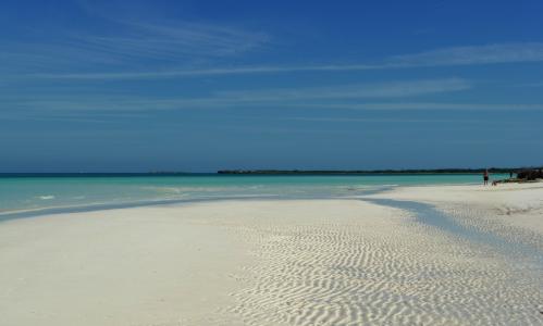 成穩生SVO8TQCL相關圖片