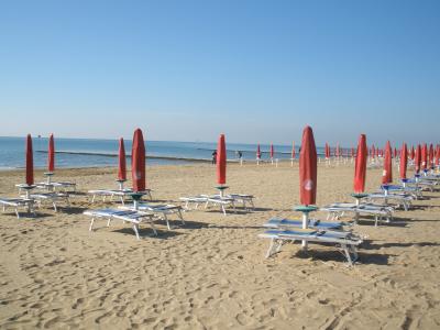 梅園槑ZQZOT4OO相關圖片