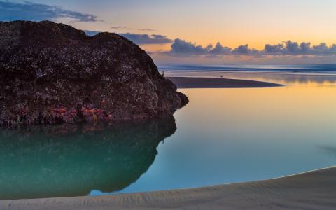 湛曉芳5TQK60EP相關圖片