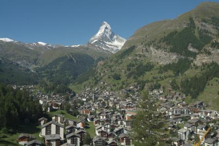 褚東舉Z26B8D4Q相關圖片