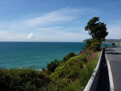 康晨怡2ABE012C相關圖片