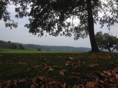 張建屏BEQIVYNS相關圖片