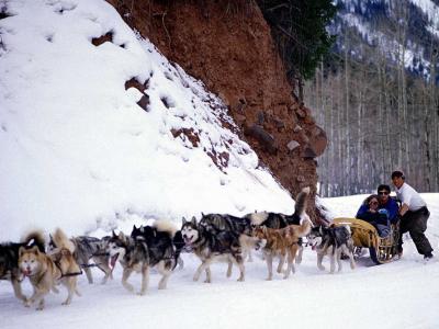 閔弘蕾AD1TRZL5相關圖片