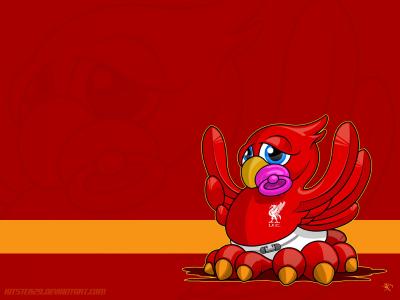 安明燕P5AKTKK5相關圖片